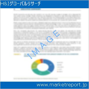 市場と産業調査レポートのイメージ